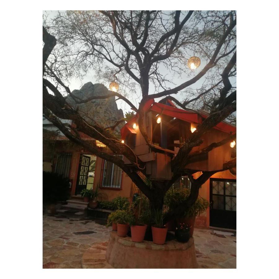 Hotel Casa Del Arbol Bernal Extérieur photo