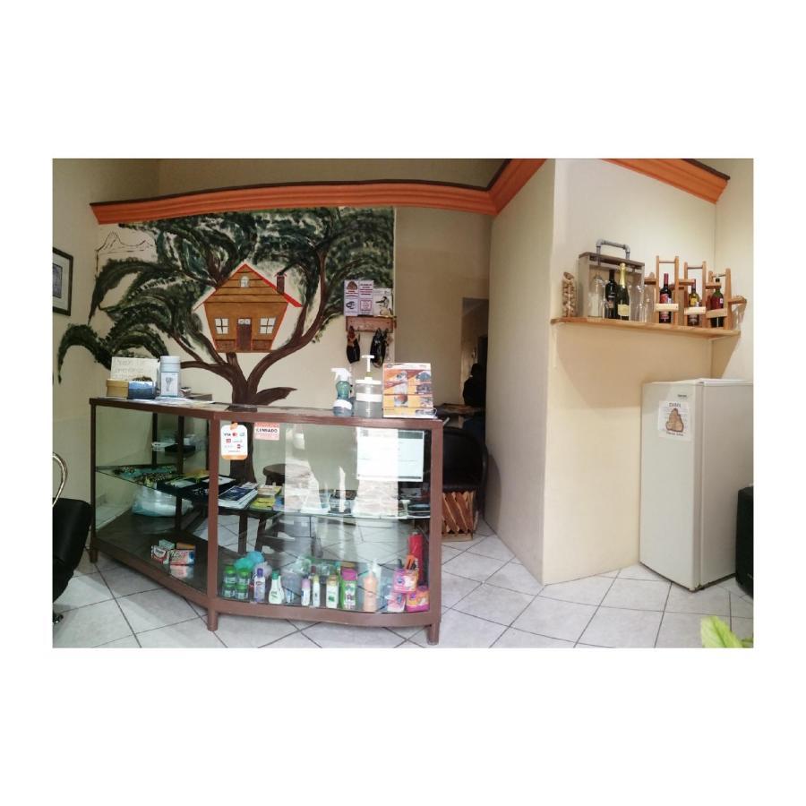Hotel Casa Del Arbol Bernal Extérieur photo