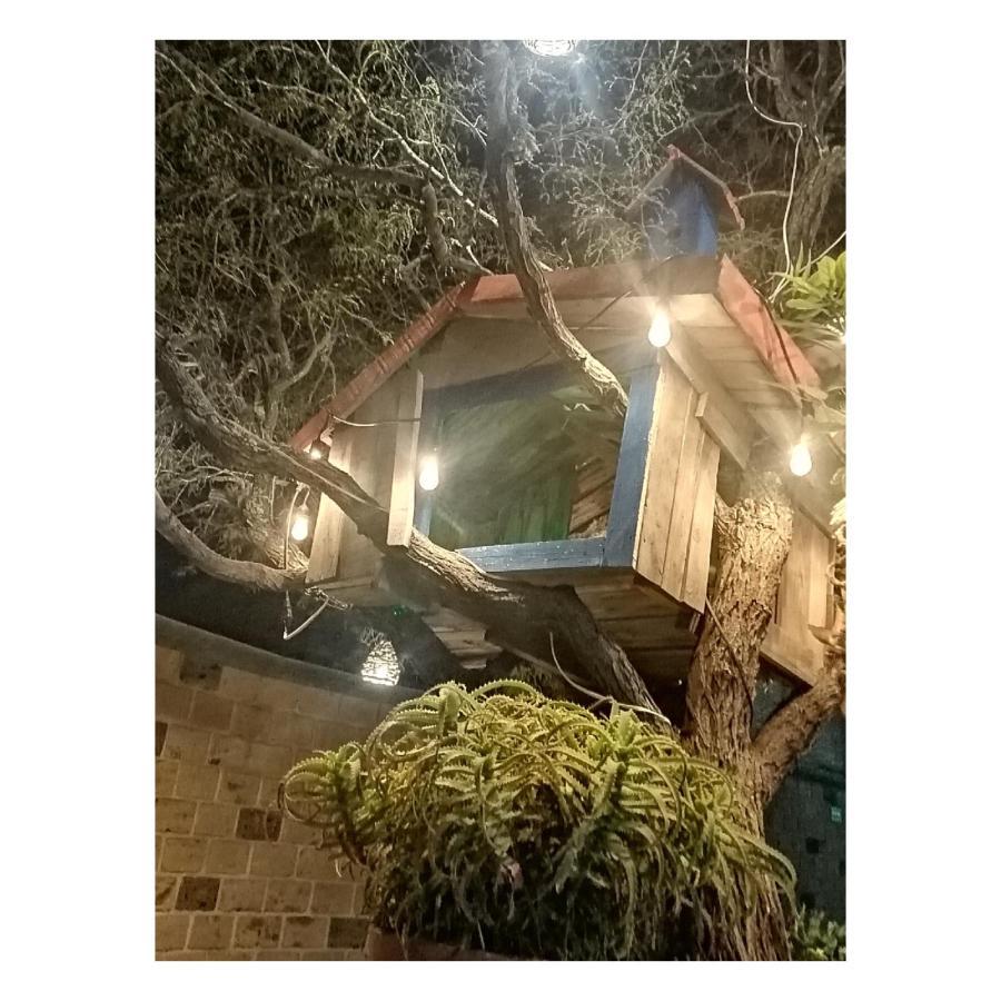 Hotel Casa Del Arbol Bernal Extérieur photo